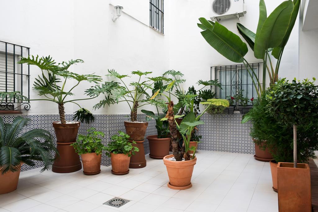Urbanchicmalaga 3 Bedroom Spacious Quiet Historic Malaga Apt Exteriér fotografie